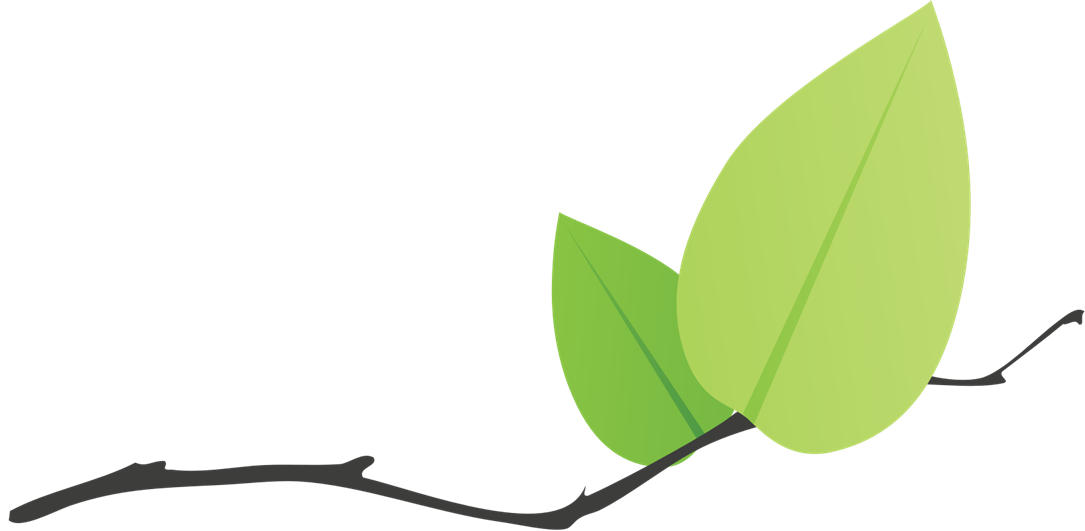 Leaflet